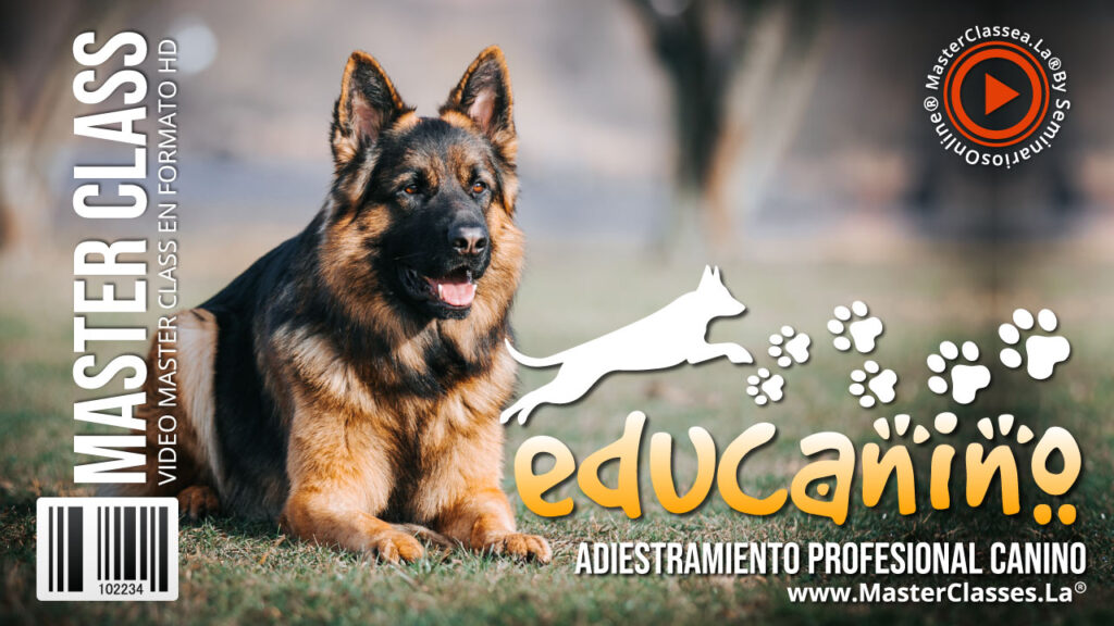 Educanino Hotmart